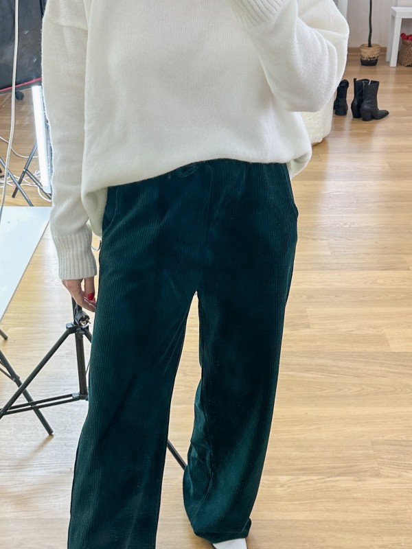 Velvet green pants